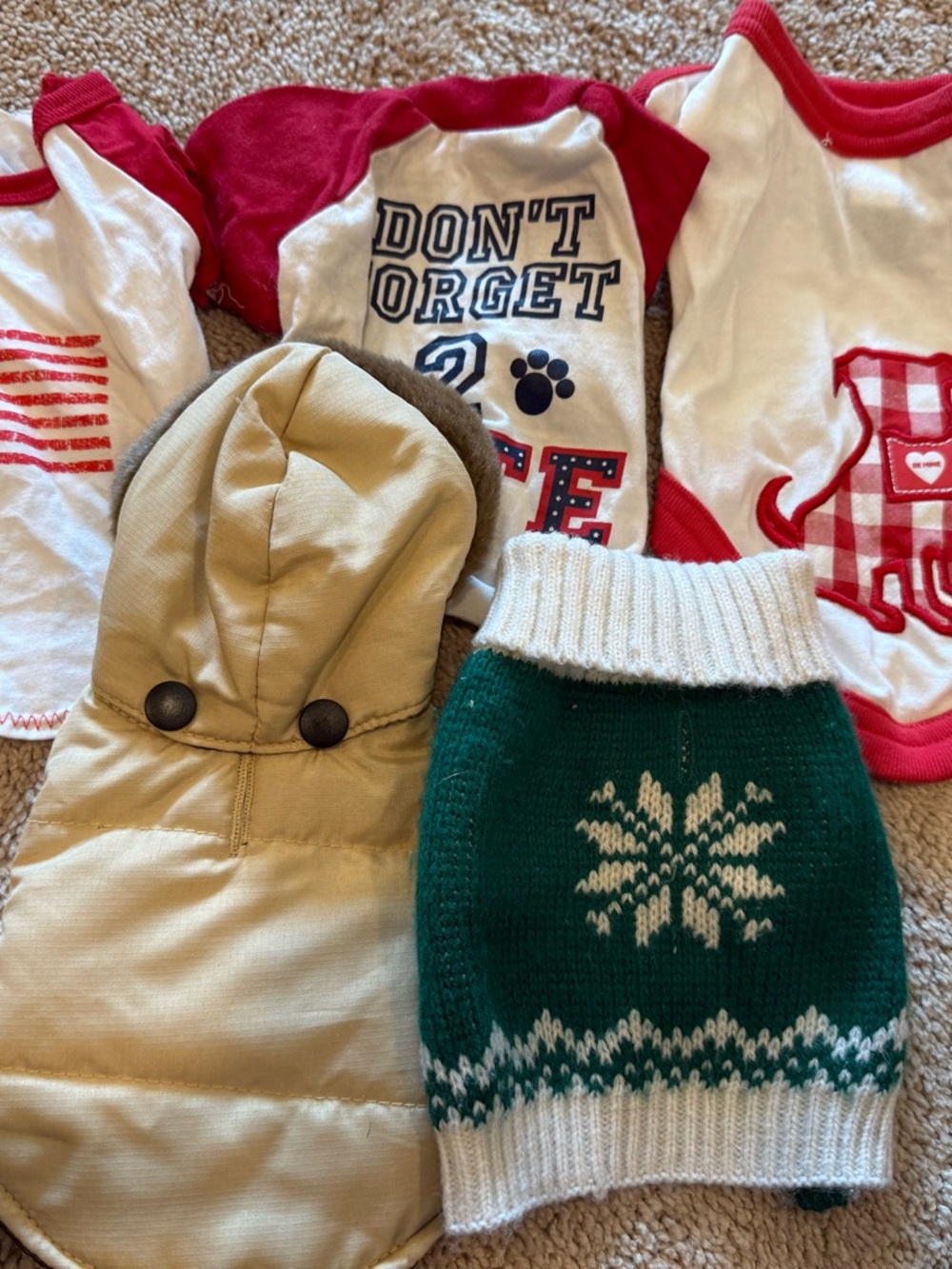 XXS dog clothing lot